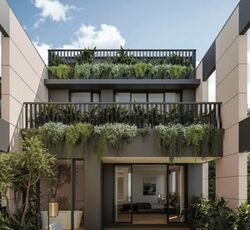 Palm Road (D15), Terrace #556154611